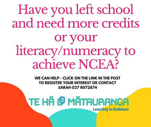 Need some help with literacy/numeracy?