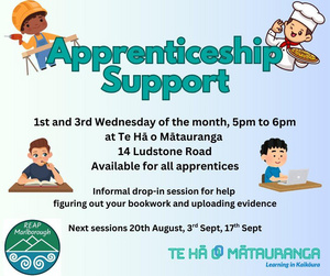 Apprenticeship support Apprenticeship support