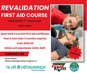 First Aid Course